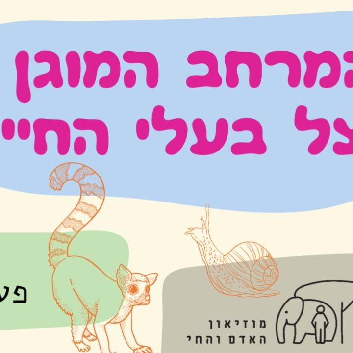 האדם והחי