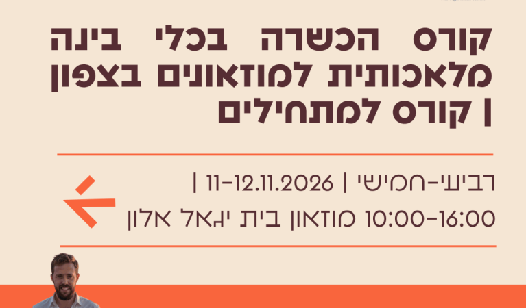 בינה בצפון