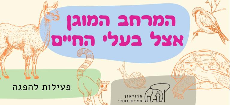 האדם והחי