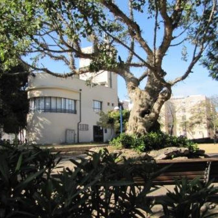  אילנה מוקטן לאינטרנט