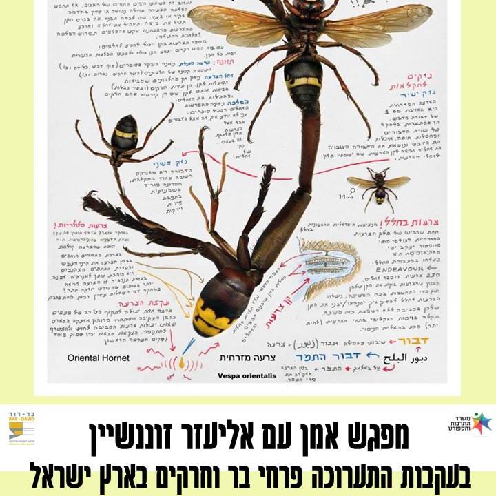  אמן אליעזר זוננשיין