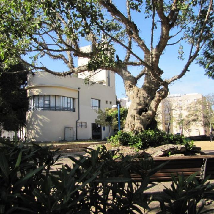  ארוע תמונה איקום_0