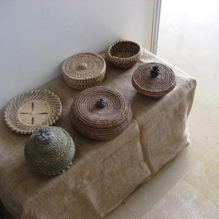  במחטי אורנים 2