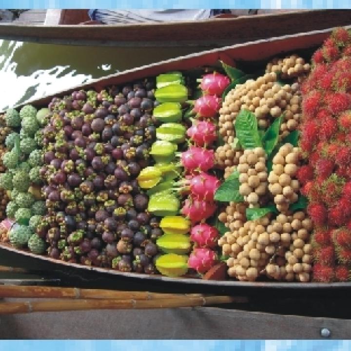  הרצאות נהרות תמונה בודדת