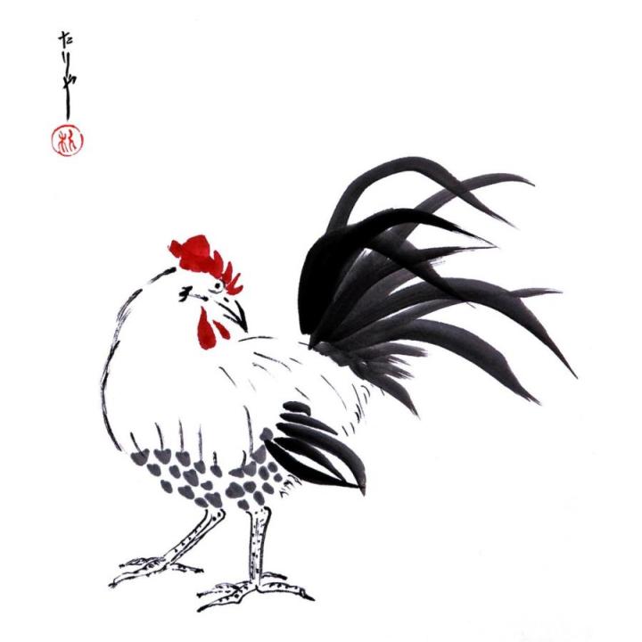 rooster and snail-page-001_0