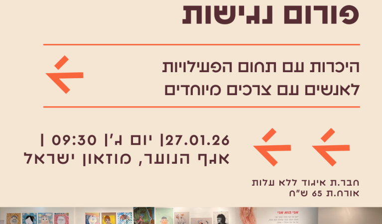 נגישות